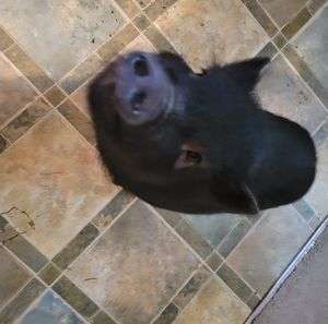 Meet your Posher, Nathaniel